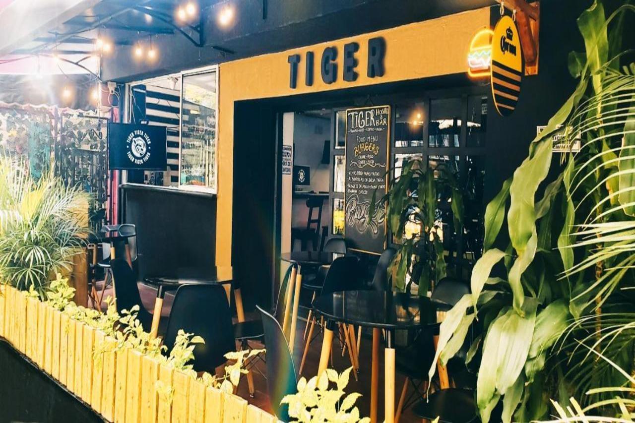 Tiger Hostel Медельин Экстерьер фото