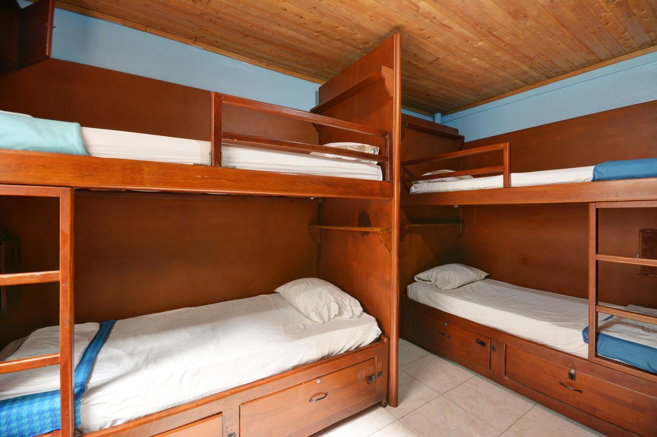 Tiger Hostel Медельин Экстерьер фото
